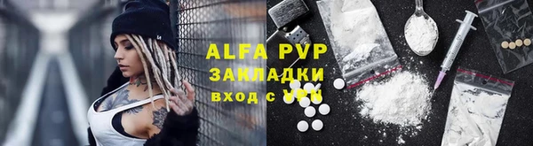 стафф Надым