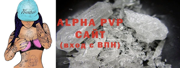 стафф Надым