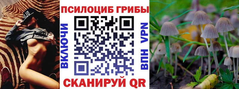 Псилоцибиновые грибы Magic Shrooms  закладки  Сорск 